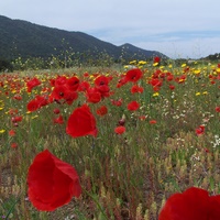 Photo de Espagne - Séville